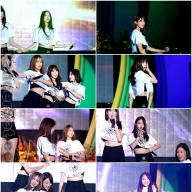 151015 나인뮤지스(9MUSES) 8V 790MB